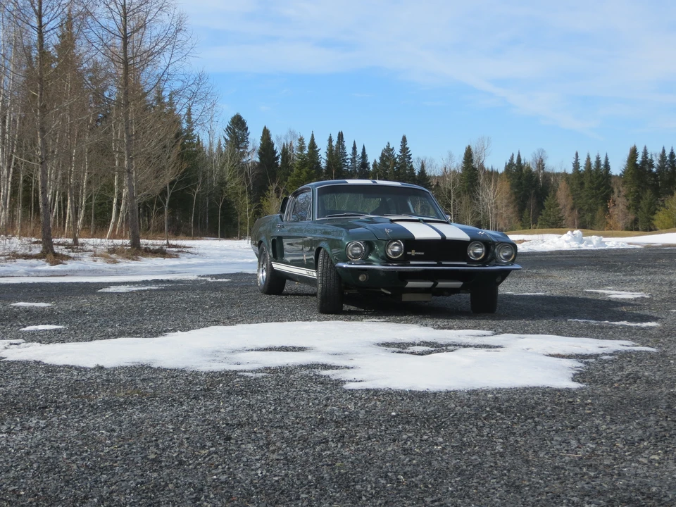 1967 Ford Mustang 1st Gen (1967-1968) - Image 2 of 31