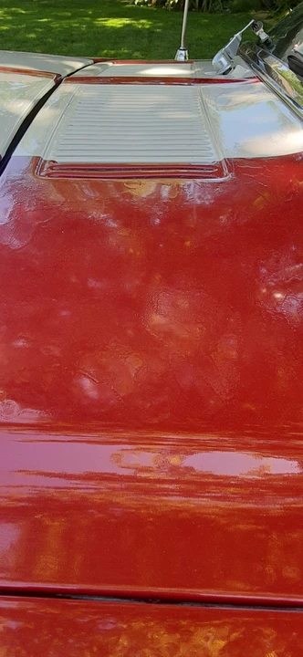 1967 Shelby GT500 - Image 16 of 31