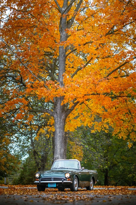 1967 Sunbeam Tiger Mark I - Image 3 of 31