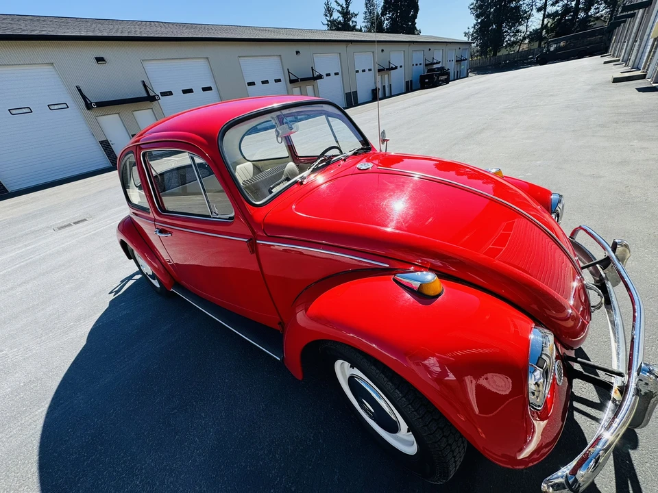 1967 Volkswagen Beetle (1958-1979) - Image 2 of 31