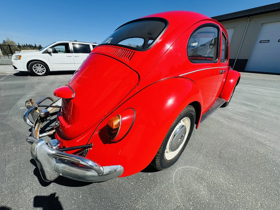 1967 Volkswagen Beetle (1958-1979) - Image 9 of 31