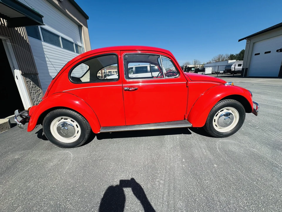 1967 Volkswagen Beetle (1958-1979) - Image 10 of 31