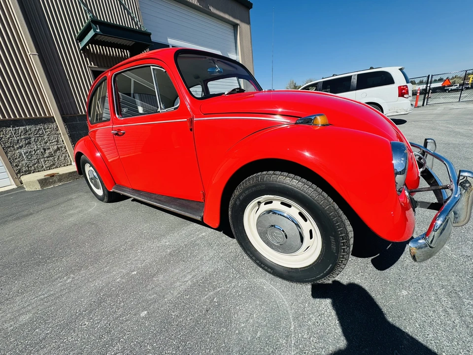 1967 Volkswagen Beetle (1958-1979) - Image 11 of 31