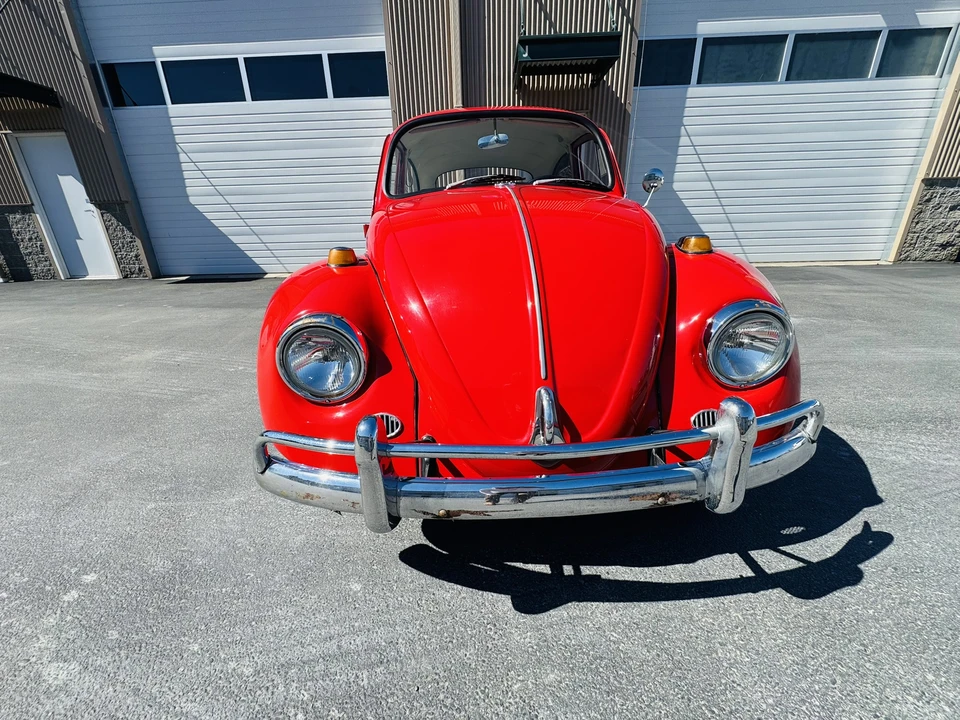 1967 Volkswagen Beetle (1958-1979) - Image 3 of 31