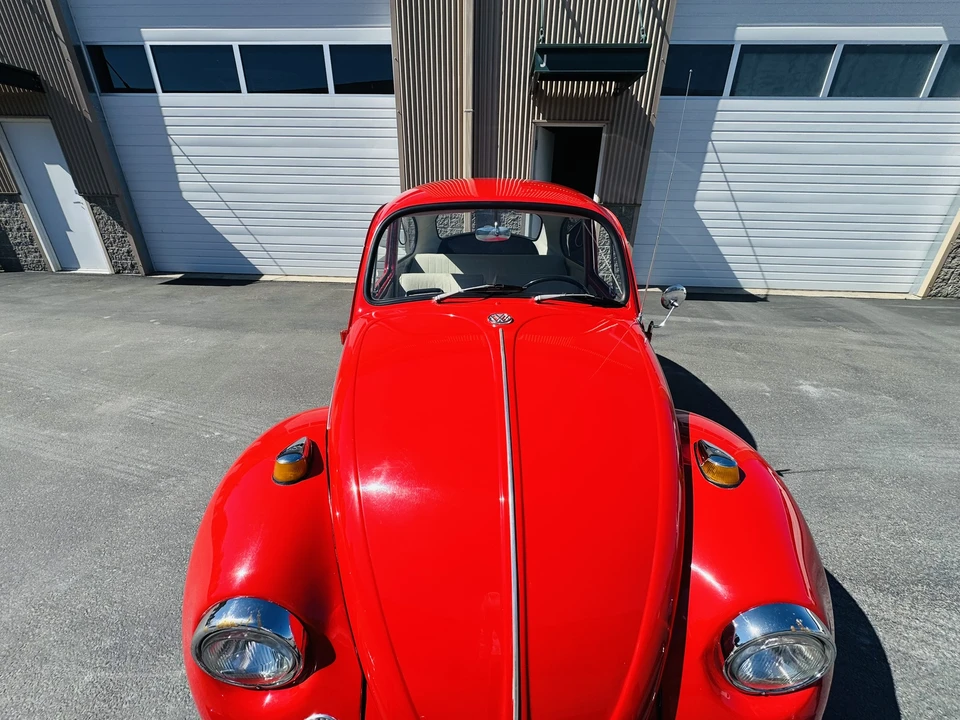 1967 Volkswagen Beetle (1958-1979) - Image 12 of 31