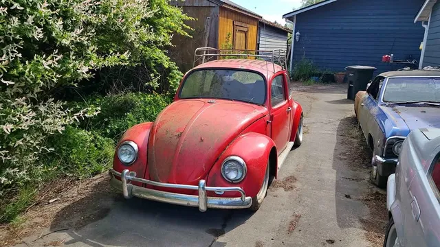1967 Volkswagen Beetle