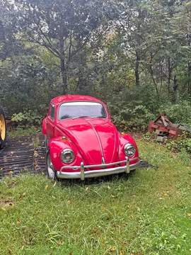 1967 Volkswagen Beetle