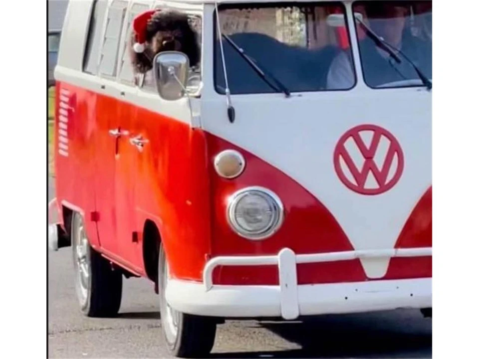 1967 Volkswagen Split-Window Bus - Image 7 of 7