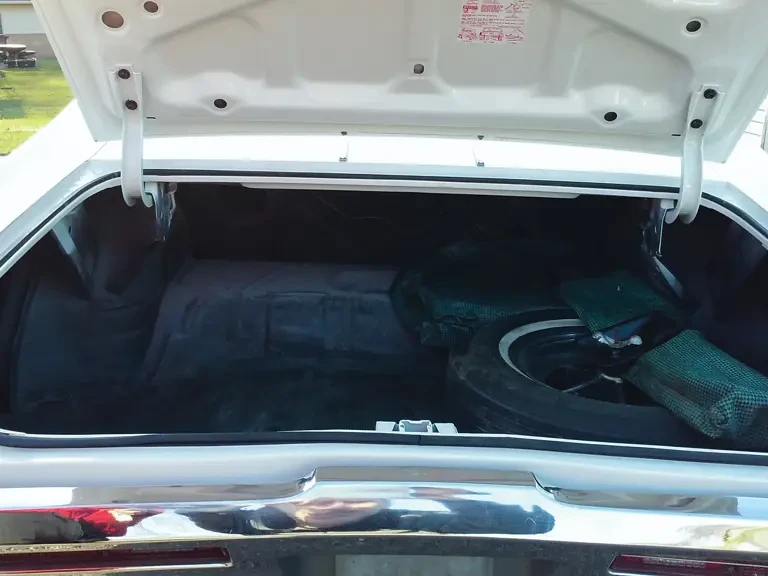1968 Buick Skylark 3rd Gen - Image 6 of 6