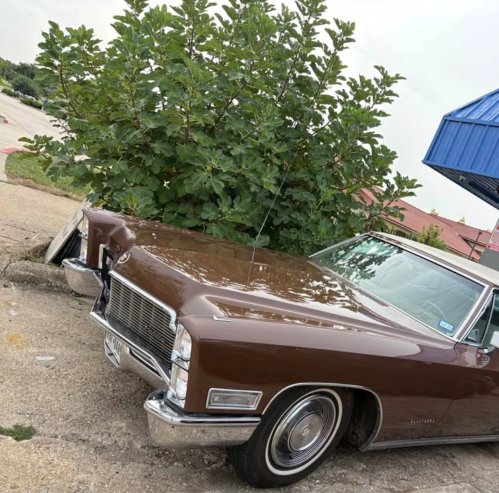 1968 Cadillac Fleetwood - Image 2 of 20