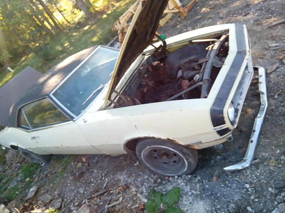 1968 Chevrolet Camaro 1st Gen - Image 19 of 20