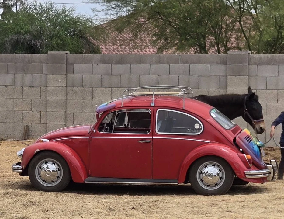 1968 Volkswagen Beetle - Image 3 of 6