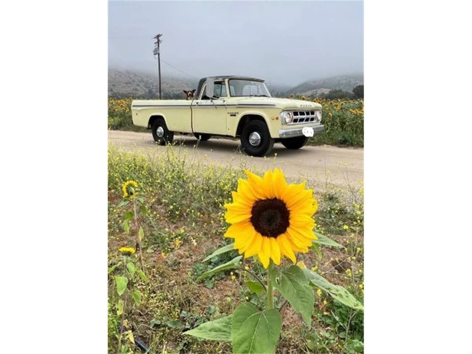 1968 Dodge D Series 2nd Gen - Image 6 of 7