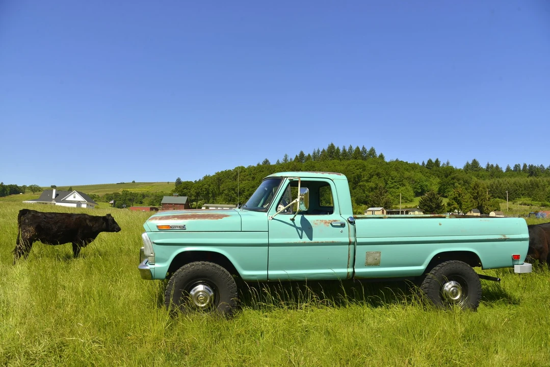 1968 Ford F-Series 5th Gen - Image 24 of 31