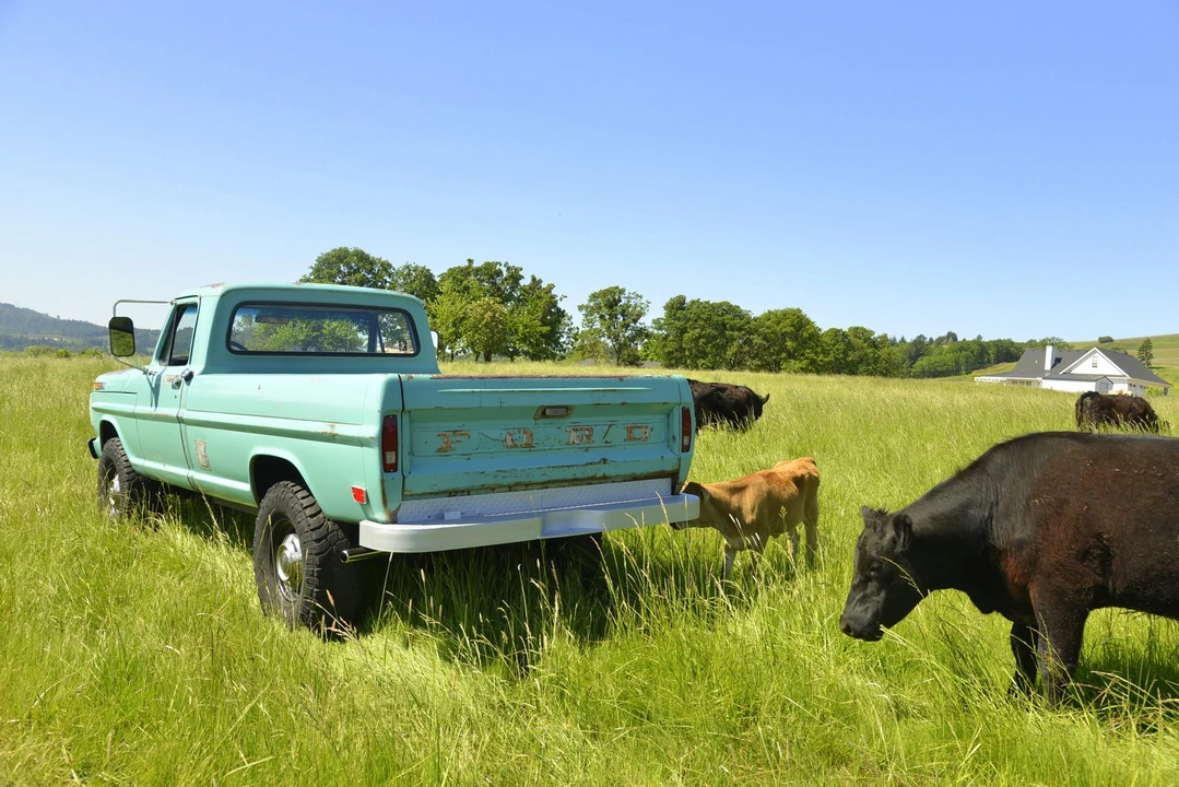 1968 Ford F-Series 5th Gen - Image 22 of 31