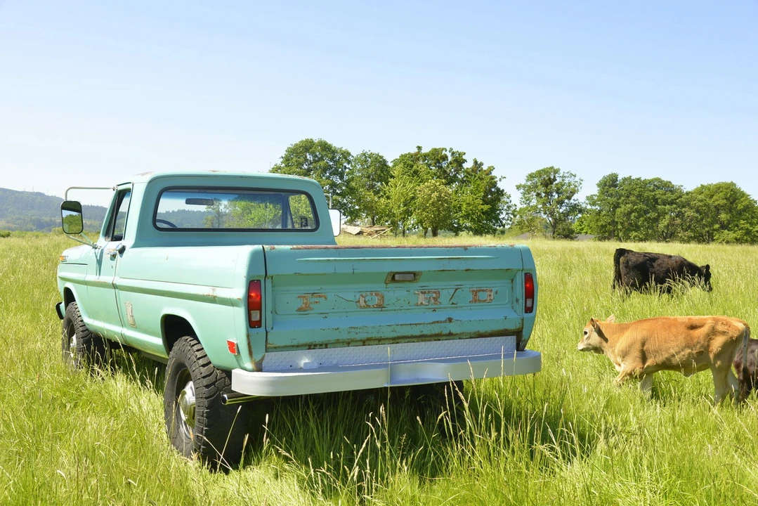 1968 Ford F-Series 5th Gen - Image 23 of 31