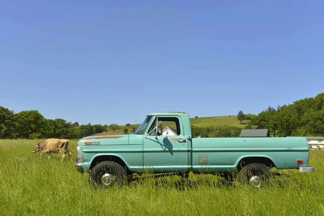 1968 Ford F-Series 5th Gen - Image 25 of 31