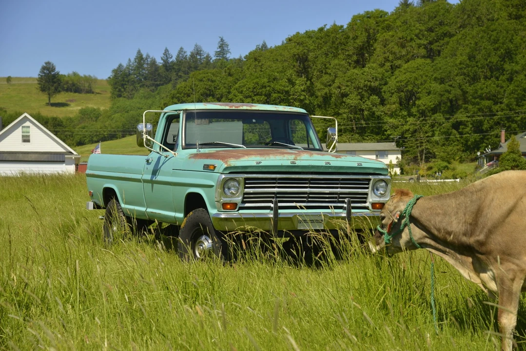 1968 Ford F-Series 5th Gen - Image 27 of 31