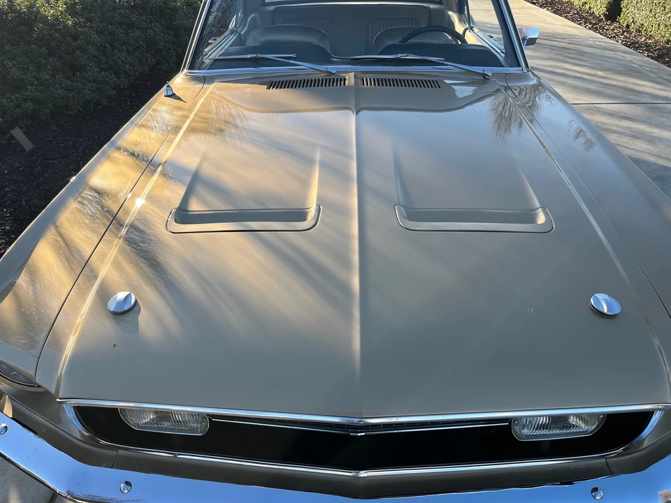 1968 Ford Mustang 1st Gen (1967-1968) - Image 16 of 31