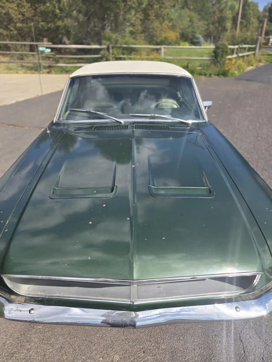 1968 Ford Mustang 1st Gen (1967-1968) - Image 16 of 31
