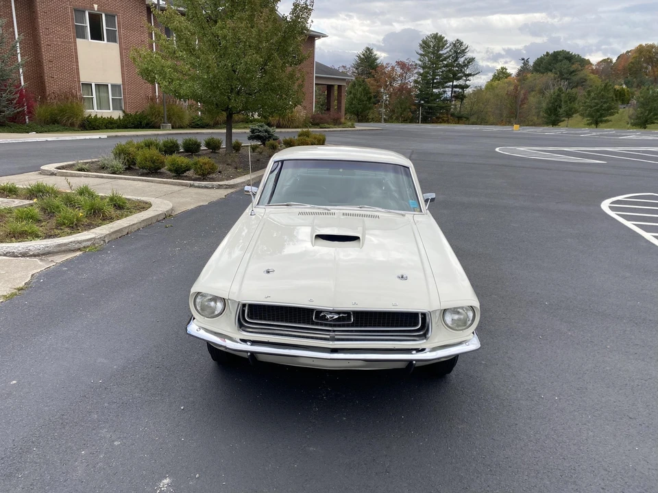 1968 Ford Mustang Cobra Jet 1st Gen (1968) - Image 6 of 31