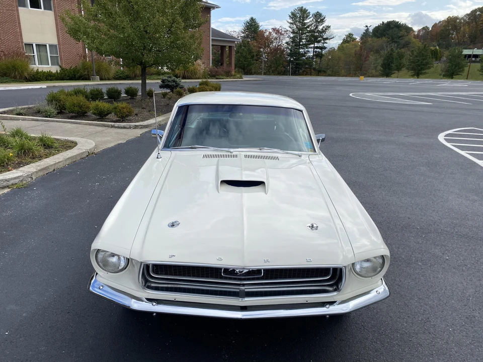 1968 Ford Mustang Cobra Jet 1st Gen (1968) - Image 7 of 31