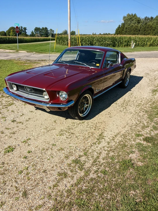 1968 Ford Mustang 1st Gen (1967-1968) - Image 11 of 31