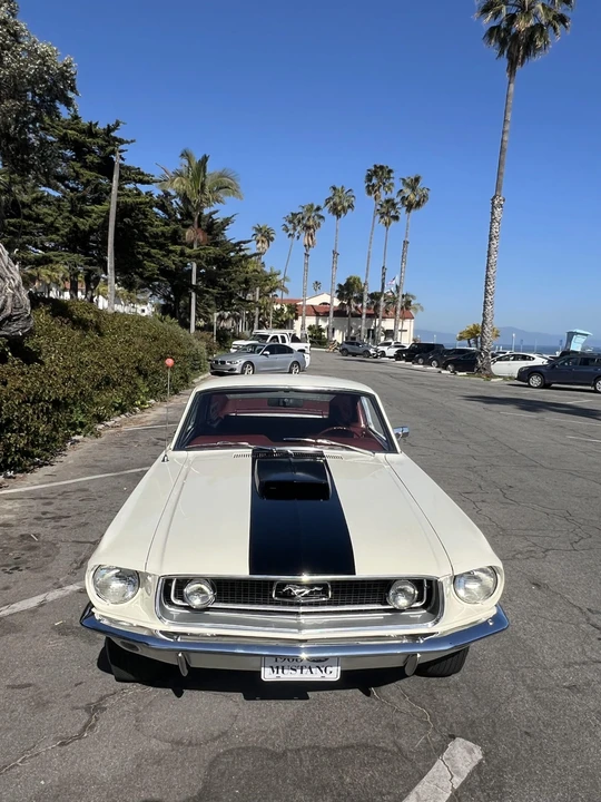 1968 Ford Mustang Cobra Jet 1st Gen (1968) - Image 28 of 31