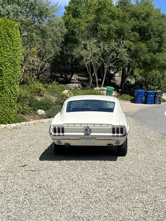 1968 Ford Mustang Cobra Jet 1st Gen (1968) - Image 21 of 31
