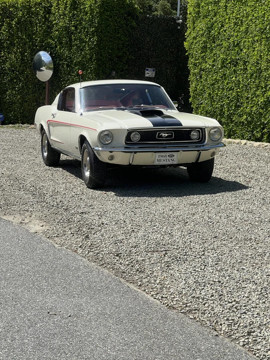 1968 Ford Mustang Cobra Jet 1st Gen (1968) - Image 7 of 31