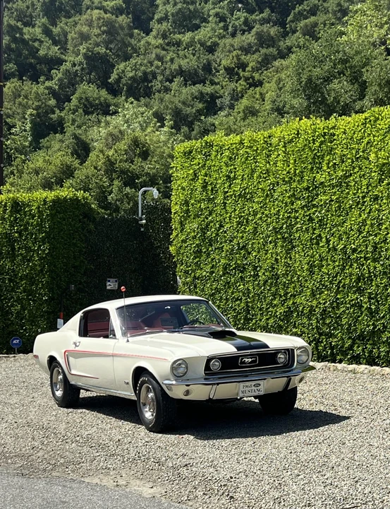 1968 Ford Mustang Cobra Jet 1st Gen (1968) - Image 27 of 31
