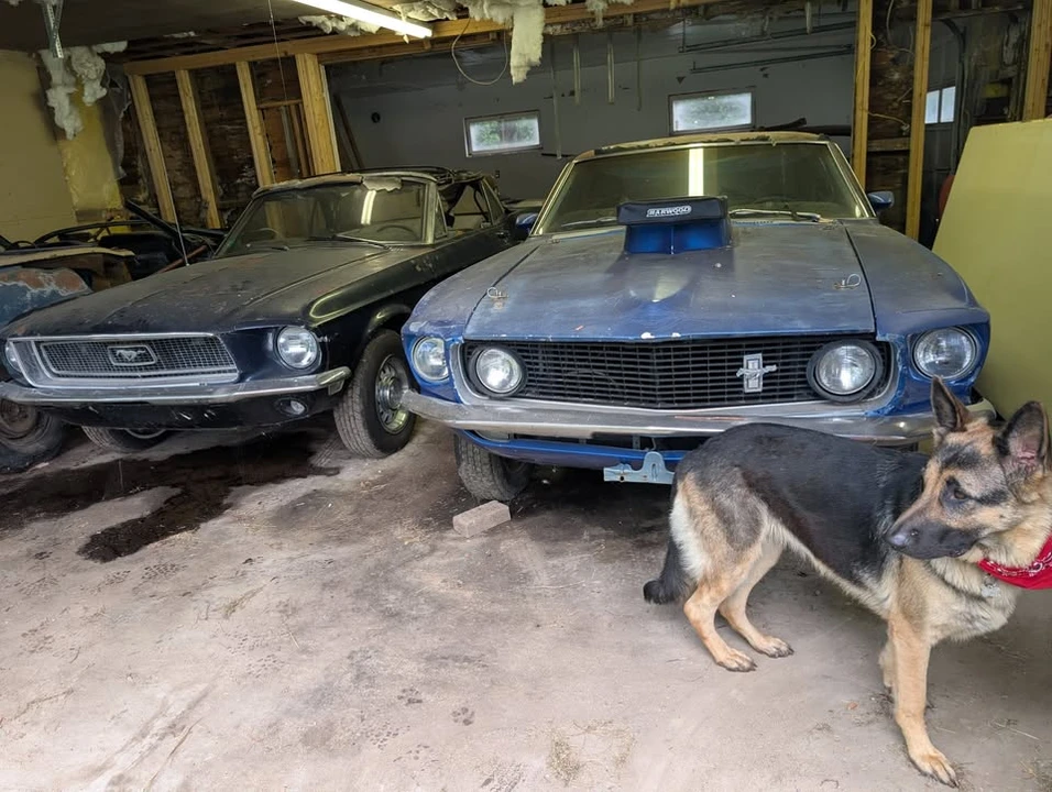 1968 Ford Mustang - Image 14 of 17