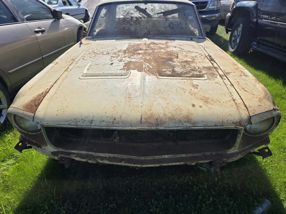 1968 Ford Mustang 1st Gen (1967-1968) - Image 3 of 14
