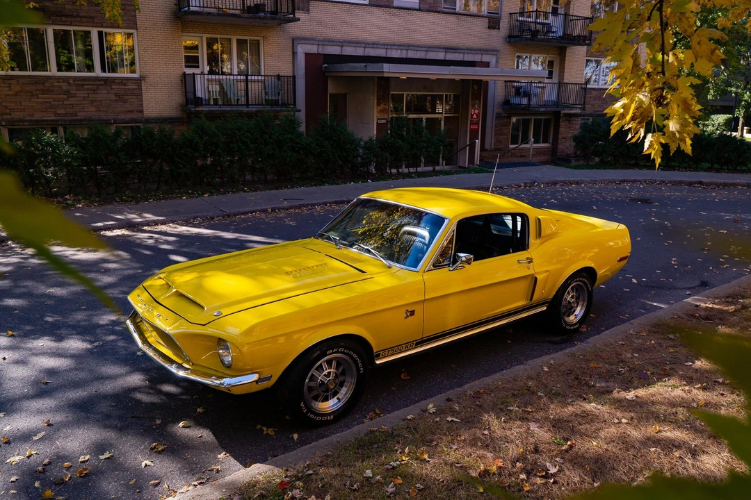 1968 Shelby GT500 - Image 13 of 31