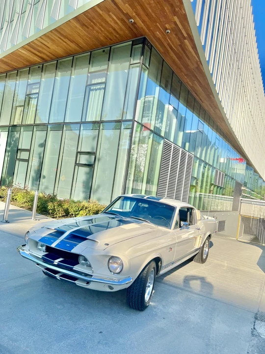 1968 Shelby GT500 - Image 25 of 31