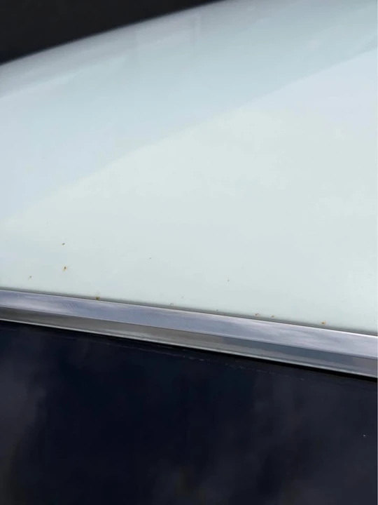 1968 Lincoln Continental 4th Gen - Image 13 of 20