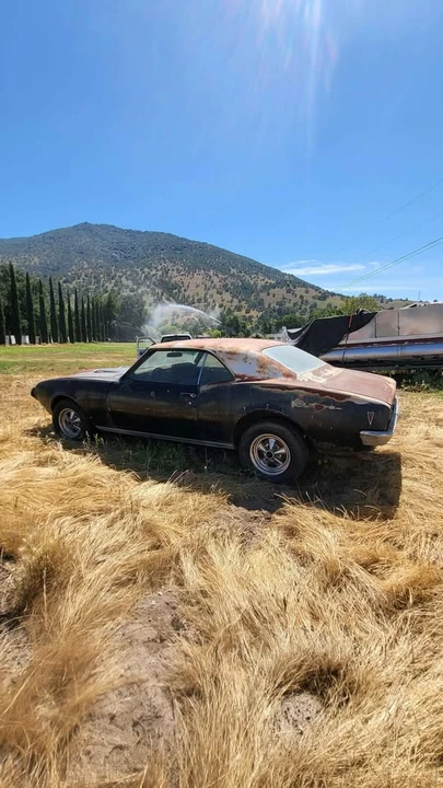 1968 Pontiac Firebird 1st Gen - Image 4 of 11