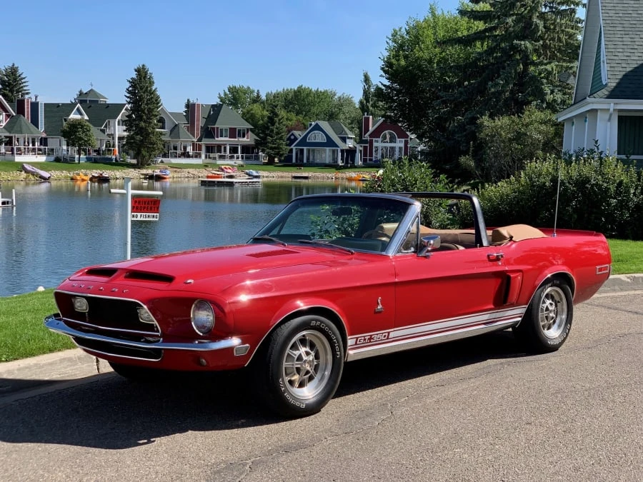 1968 Shelby GT350 - Image 12 of 12