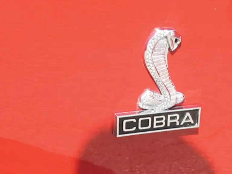 1968 Shelby GT350 - Image 11 of 13