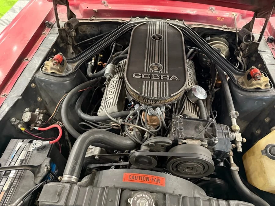 1968 Shelby GT350 - Image 17 of 17