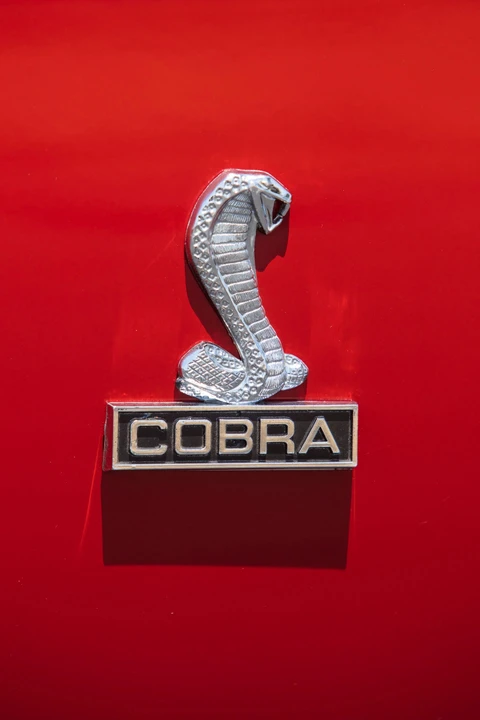 1968 Shelby GT500 - Image 30 of 31