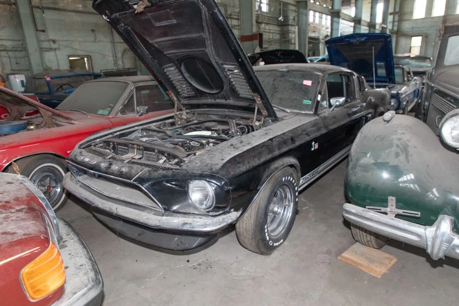 1968 Shelby GT500 - Image 13 of 13