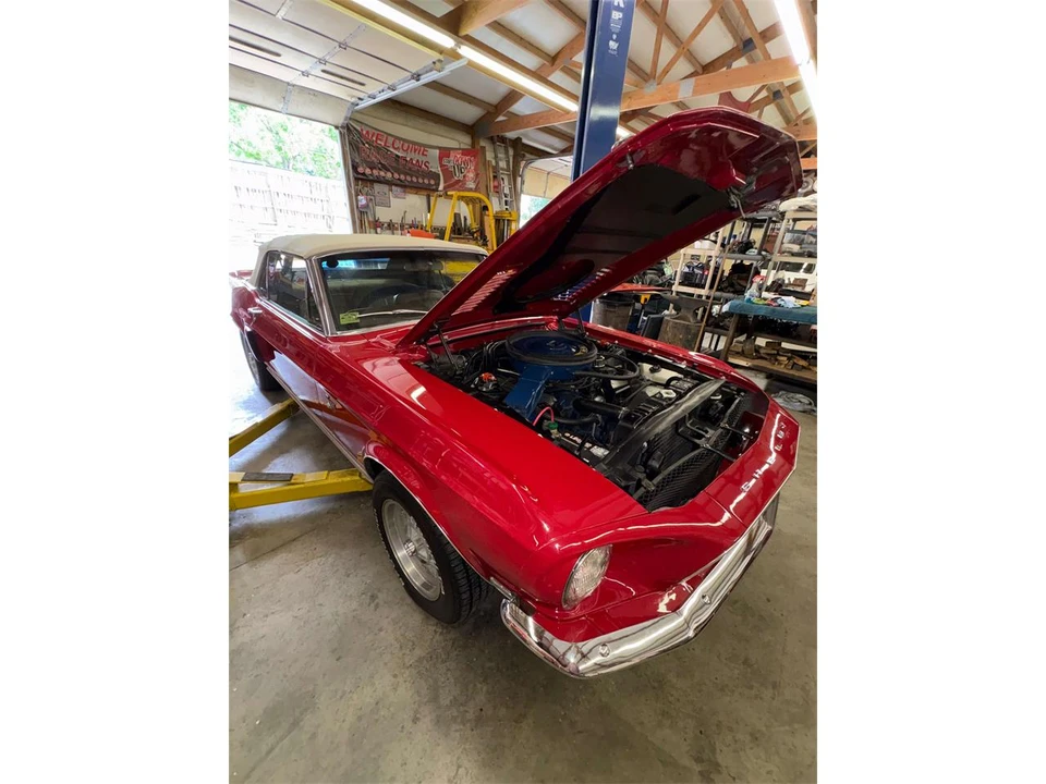 1968 Shelby GT500 - Image 14 of 31