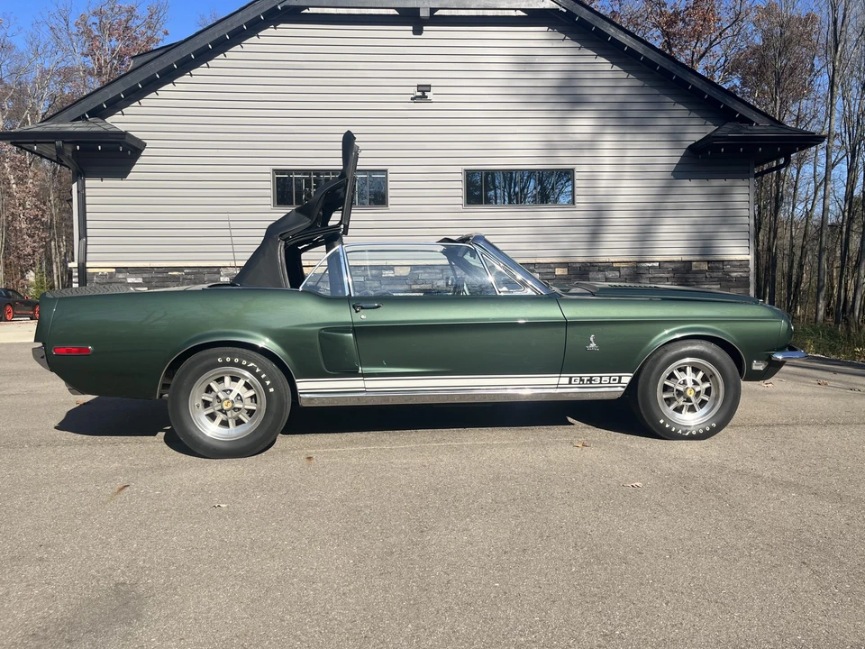 1968 Shelby GT350 - Image 14 of 31