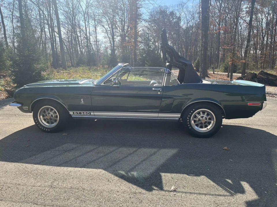 1968 Shelby GT350 - Image 12 of 31