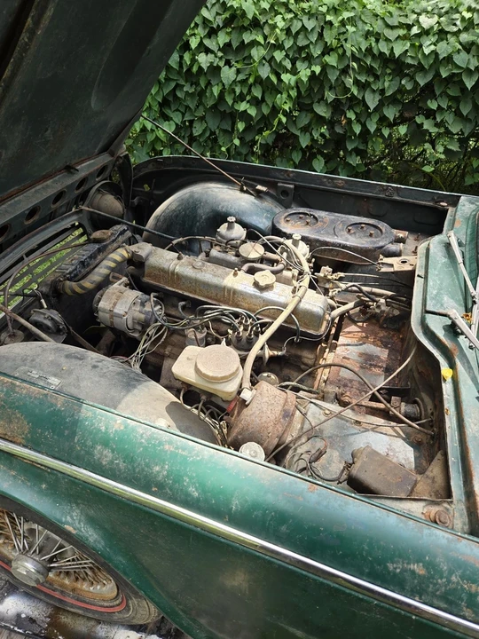 1968 Triumph TR5/TR250 - Image 14 of 20