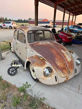 1968 Volkswagen Beetle Hatchback 2D