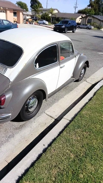 1968 Volkswagen Beetle (1958-1979) - Image 2 of 4