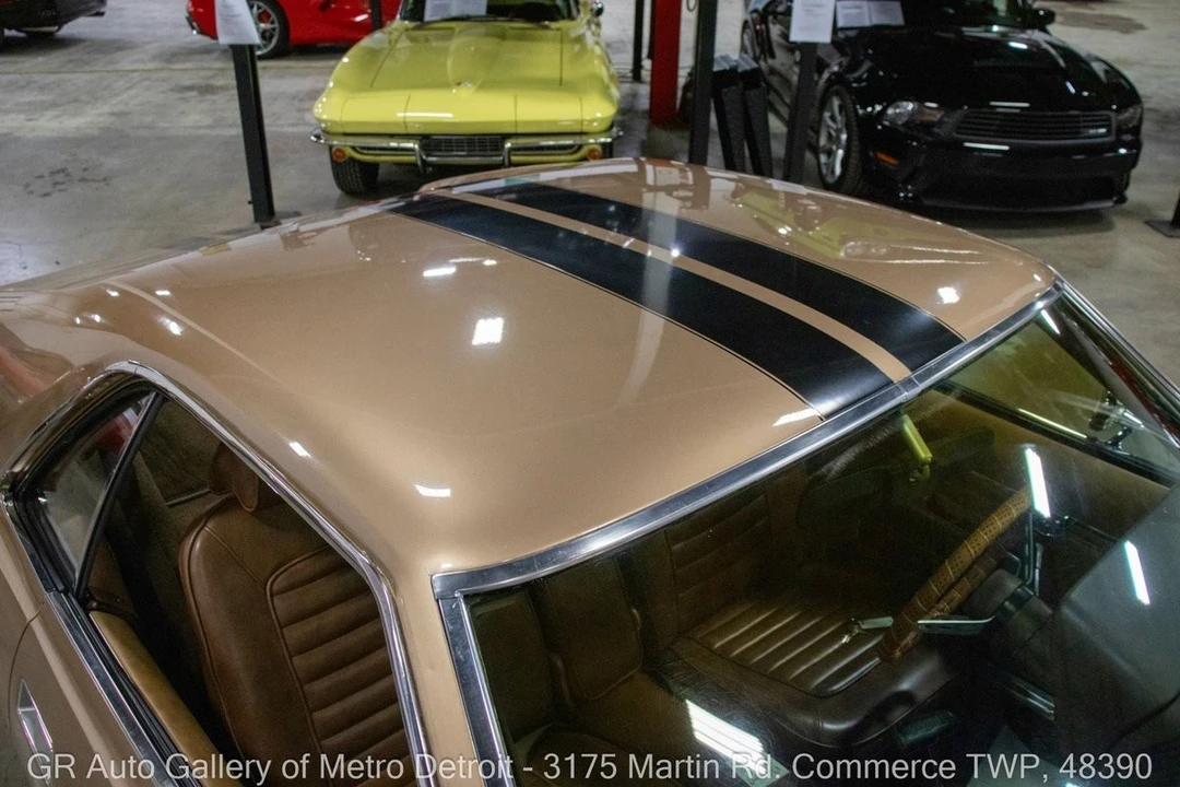 1969 AMC AMX - Image 14 of 31