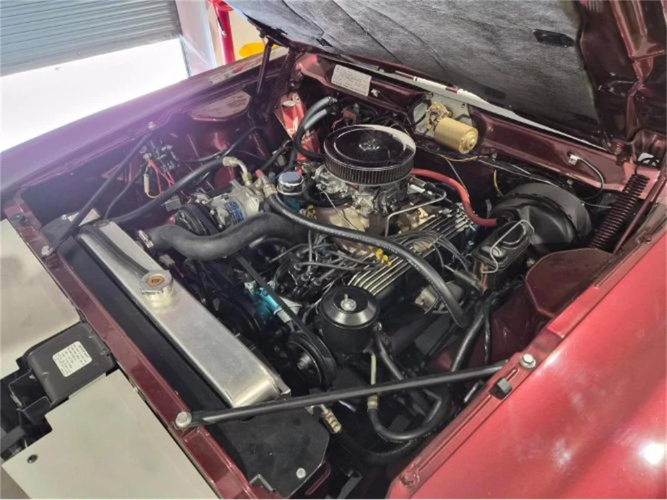 1969 AMC AMX - Image 5 of 18
